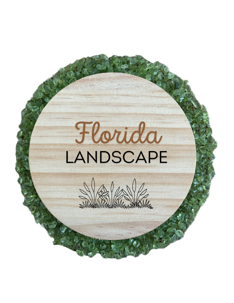 Florida Landscape