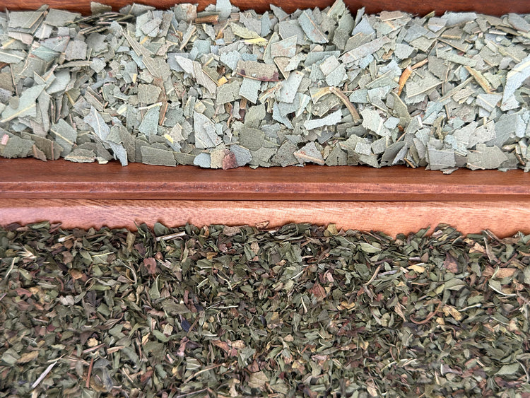 Eucalyptus Mint