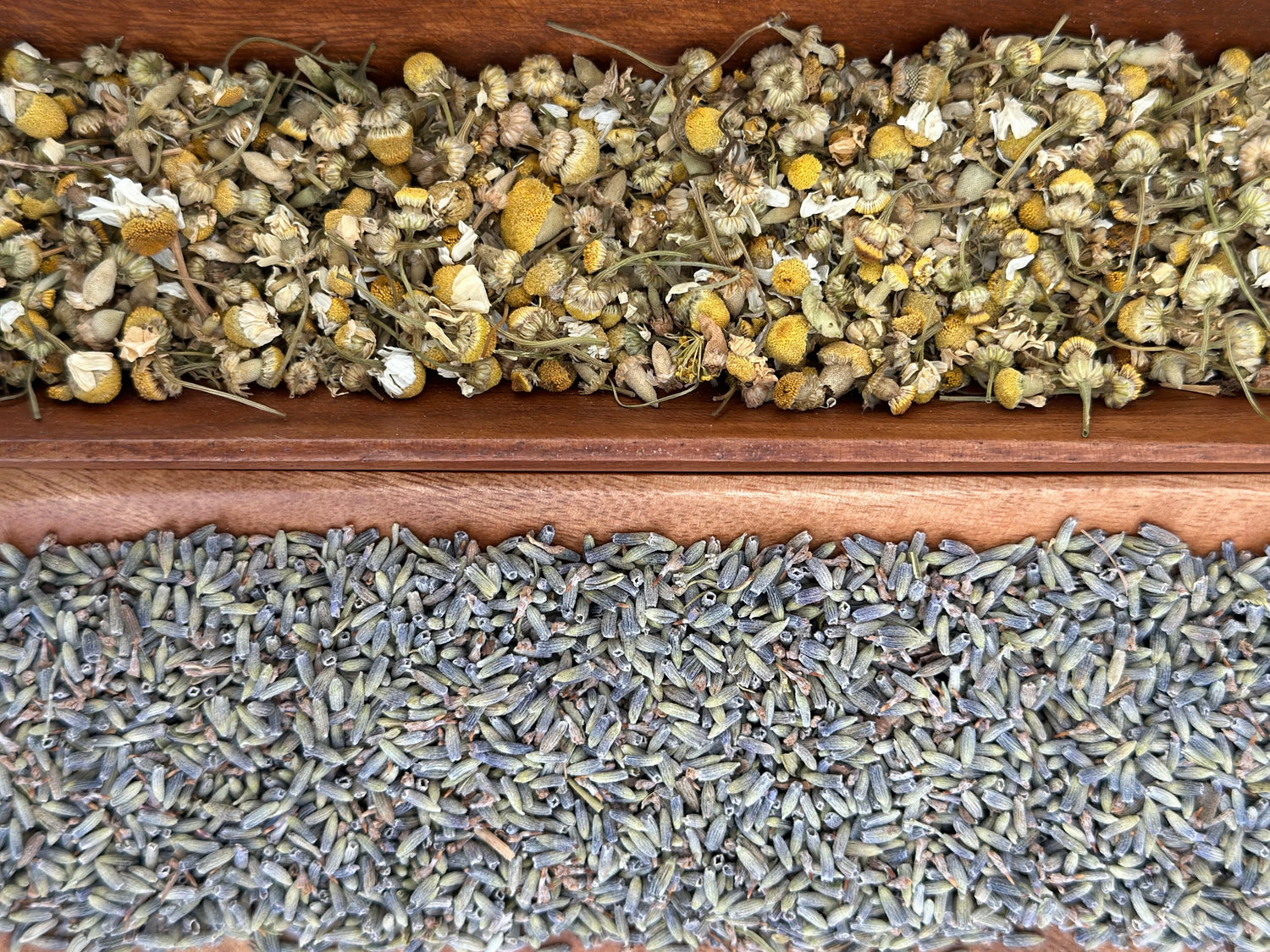 Chamomile Lavender